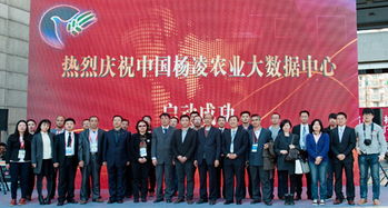 北京電子信息職業(yè)教育集團 打造產教融合新生態(tài)，賦能教育信息服務升級